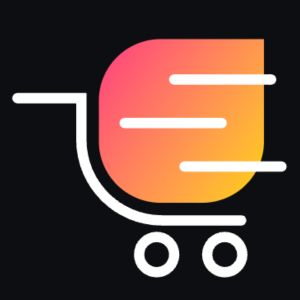 Ecommerce Prompt