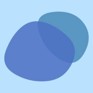 SEOcopy